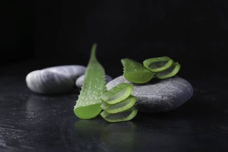 fresh aloe vera blower with spa stones on dark backgroundの写真素材