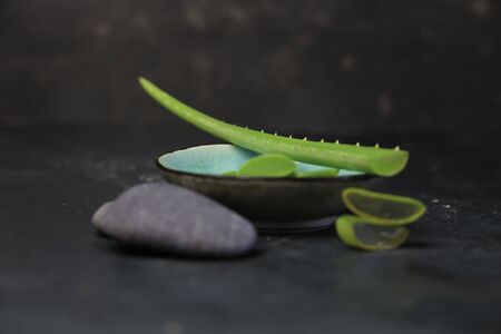 fresh aloe vera blower with spa stones on dark backgroundの写真素材
