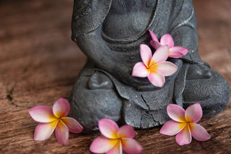 Buddha statue with frangipani flowers on a dark backgroundの写真素材