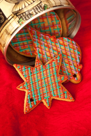 Checked red and green Christmas cookies in retro cookie jar  Gingerbreads are hand made and frosted with royal icing  Sweet and elegant composition on red silk  の写真素材