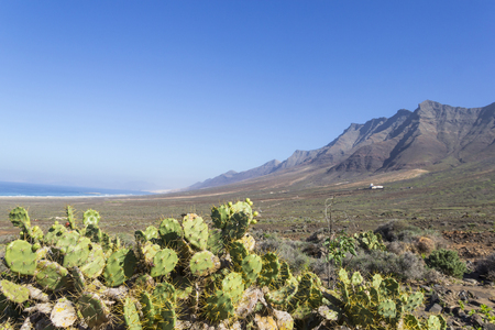 Cofete beach and beautiful view of mountain range of Jandia, Fuerteventura, Canary islands, Spainの写真素材