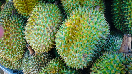 Durian is the king of fruit of Thailand