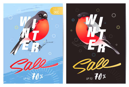 Winter Sale banner with winter birds