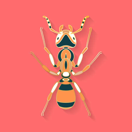 Abstract graphic insect logoのイラスト素材
