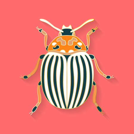 Abstract graphic insect logoのイラスト素材