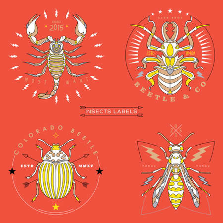 insects labels and badgesのイラスト素材
