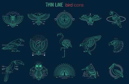 Abstract bird icons designのイラスト素材