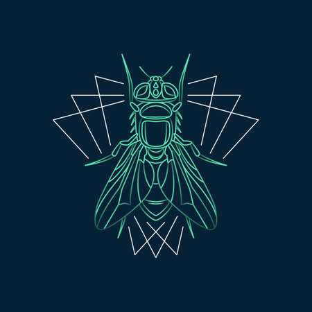 Abstract insects illustrationのイラスト素材
