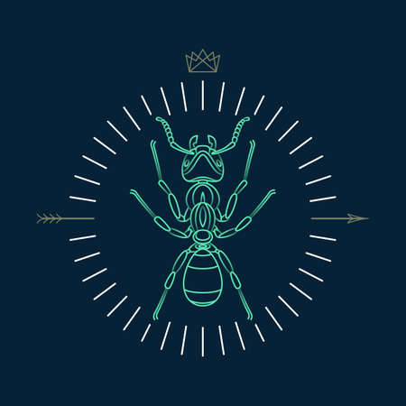 Abstract insects illustrationのイラスト素材