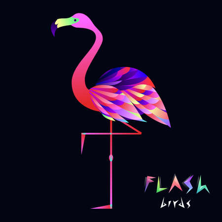 Flash flamingo illustrationのイラスト素材