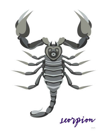 Abstract insects illustrationのイラスト素材