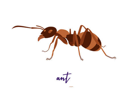Abstract insects illustrationのイラスト素材