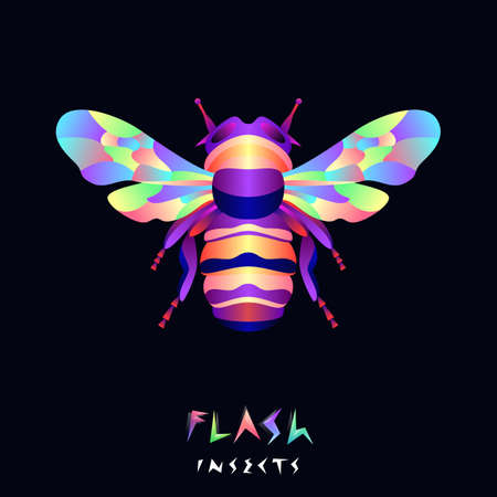 Flash bumblebee illustrationのイラスト素材