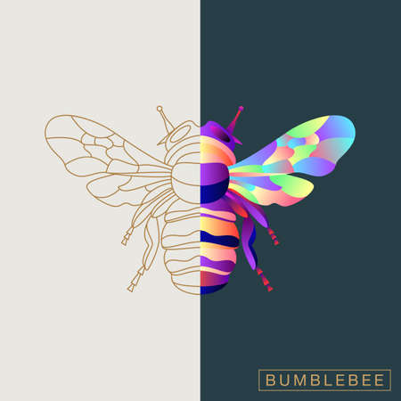 Abstract insects illustrationのイラスト素材