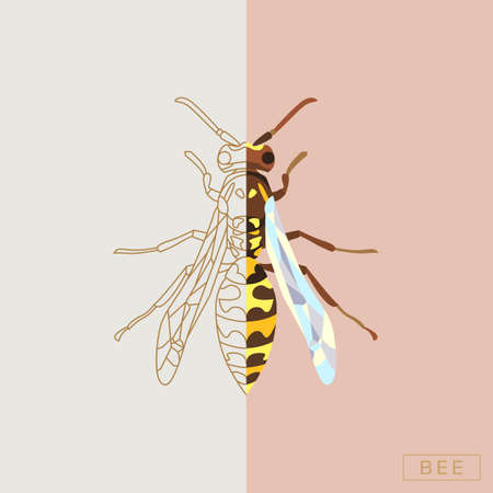 Abstract insects illustrationのイラスト素材