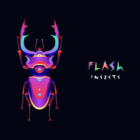 Flash beetle illustrationのイラスト素材