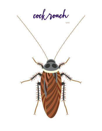 Abstract insects illustration