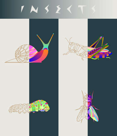 Abstract insects illustrationのイラスト素材