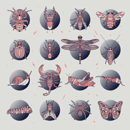 Abstract insects illustrationのイラスト素材