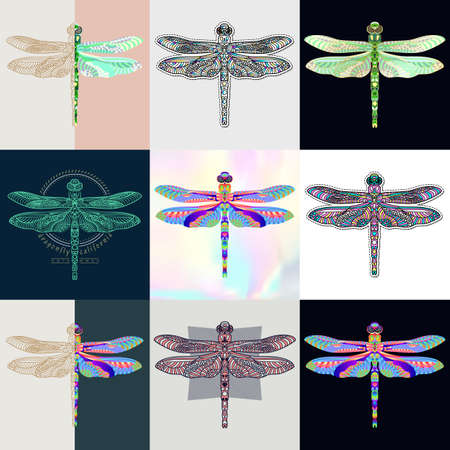 Abstract insects illustrationのイラスト素材
