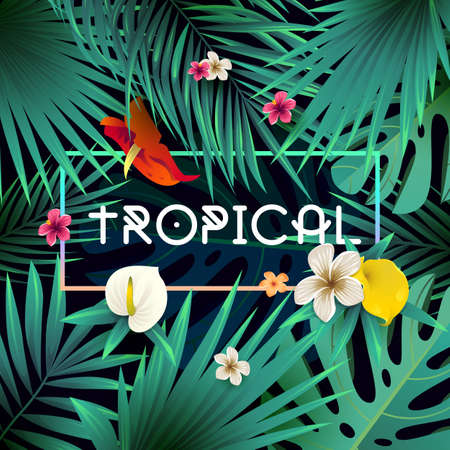 Summer tropical background designのイラスト素材
