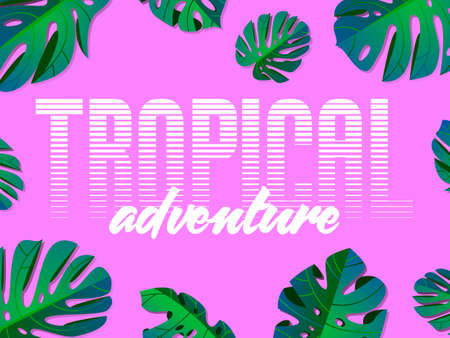 Tropical summer holiday illustration.のイラスト素材