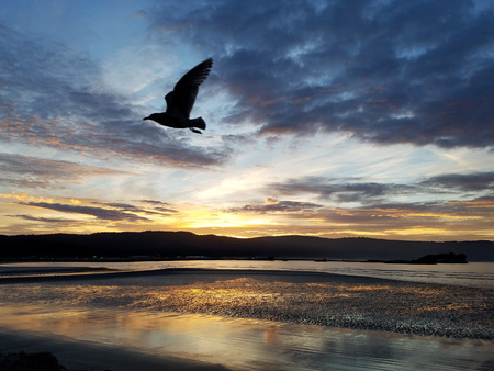 Crescent City Sunriseの写真素材