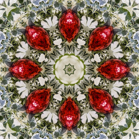 Abstract pattern mandala from Euphorbia marginata or Snow on the Mountain, white on green variegated plant makes an excellent image.の写真素材