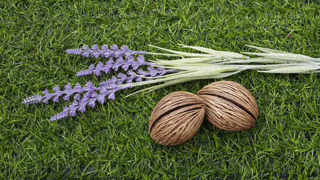 background with lavender and two seeds on greensward