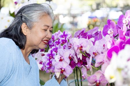 Elederly woman smiling and looking at  large beautiful pink orchid flower bunch with happiness, copy space, senior after retirement conceptの写真素材