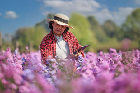 Portrait asian senior woman in glasses wearing plaid shirt and straw hat holding flowerpot in hand working in beautiful flower garden with happiness, copy spaceの写真素材