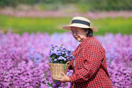 Portrait asian senior woman in glasses wearing plaid shirt and straw hat holding flowerpot in hand working in beautiful flower garden with happiness, copy spaceの写真素材