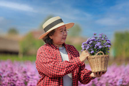 Portrait asian senior woman in glasses wearing plaid shirt and straw hat holding flowerpot in hand working in beautiful flower garden with happiness, copy spaceの写真素材