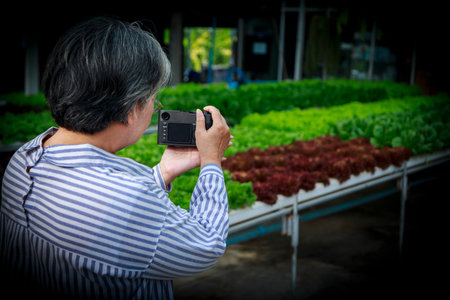 Asian senior woman farmer taking photo in hydroponics vegetable farm. career after retirement that can generate income for the owner, Small business owner and startup conceptの写真素材