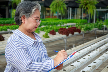 Asian senior woman farmer checklist on clipboard while work in hydroponics vegetable farm. career after retirement that can generate income for the owner, Small business owner and startup conceptの写真素材