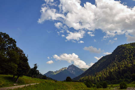 green green meadow in the mountainsの写真素材