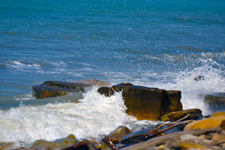 sea rocky coast on a sunny summer dayの写真素材