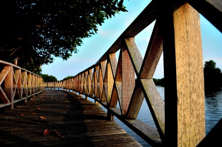 Wallk Path @ songkhlaの写真素材