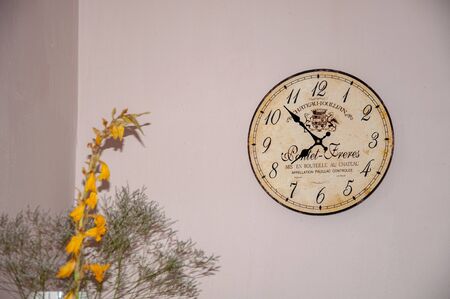 Vintage home. Wall clock. Flowers. Retro style Modern classic living
