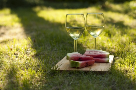 Apple cider and watermelon on the summer picnic の写真素材