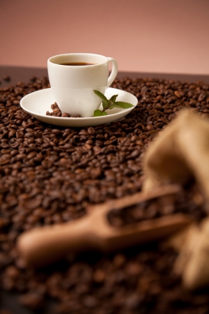 cup of coffee on roasted coffee beansの写真素材