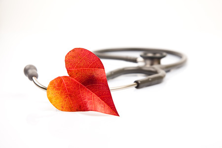 Stetoscope with a heart shaped leafの写真素材