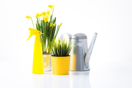 Garden concept with yellow accessories の写真素材