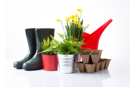 Garden equipment with green plants and yellow flowers over white backgroundの写真素材