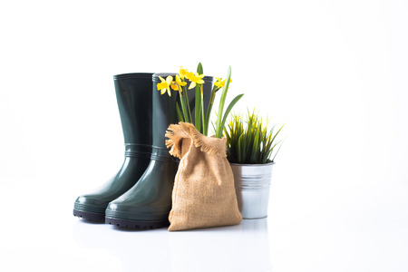 Garden boots, daffodils in jute and grass in a metal pot
