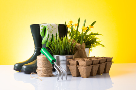 Garden equipment  boots, rake, shovel, pot, plant  over yellow backgroundの写真素材