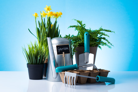 Garden equipment  boots, shovel, rake, gloves, pot  over blue backgroundの写真素材