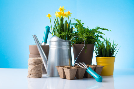 Garden equipment  boots, shovel, rake, gloves, pot  over blue backgroundの写真素材