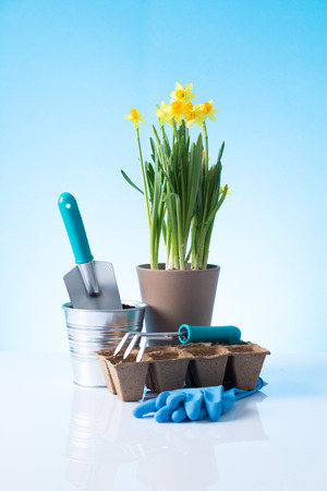 Garden equipment   shovel, rake, gloves, pot  over blue backgroundの写真素材