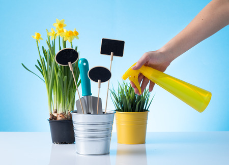 Gardening  sprinkler, pots, flowers  over blue backgroundの写真素材